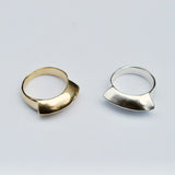 Fan Ring